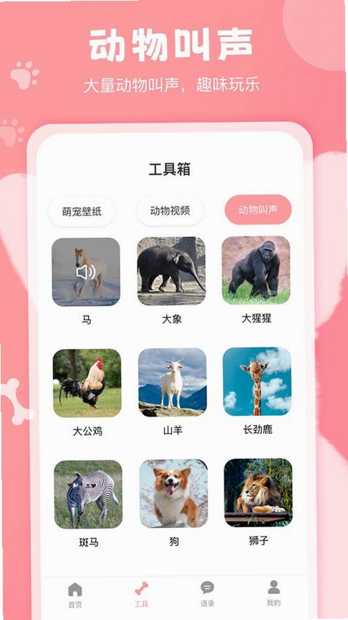 宠物语言翻译器运行截图