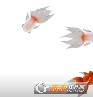 掌上金鱼动态壁纸APP