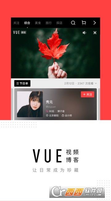 VUE视频相机 VUE视频相机