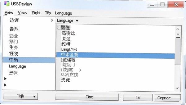 USBDeview语言设置界面预览图,展示菜单栏“View”下的“Language”选项,突出中文选项,画面主体为软件界面,背景为浅灰色,突出软件名称USBDeview