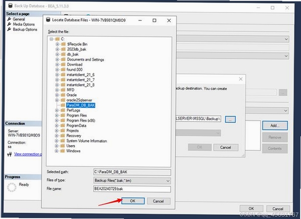SQLAutoRestore 安装教程 SQL Server 备份