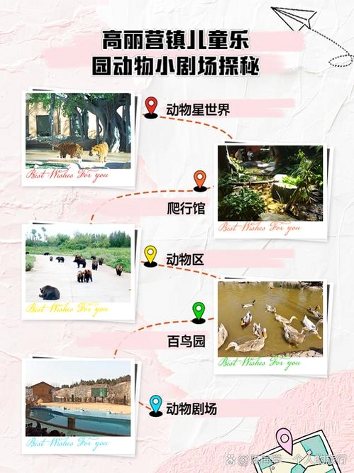 ����糡���н�ͼ