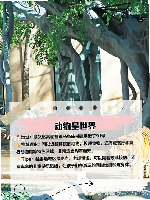 ����糡���н�ͼ