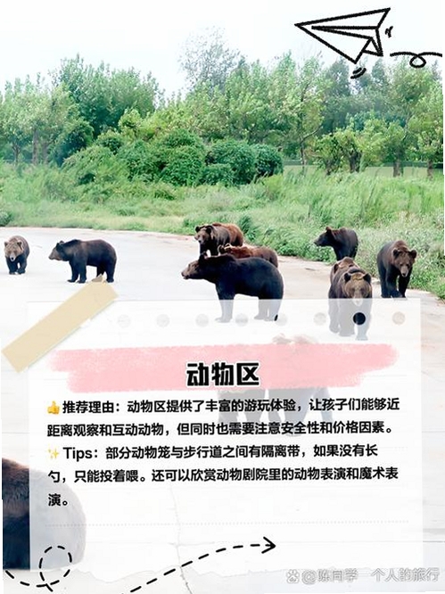 ����糡���н�ͼ