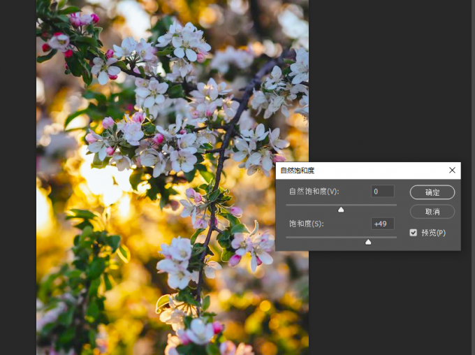 FramePhotoEditor��ɫ���ȶԱȶȱ��Ͷ�����