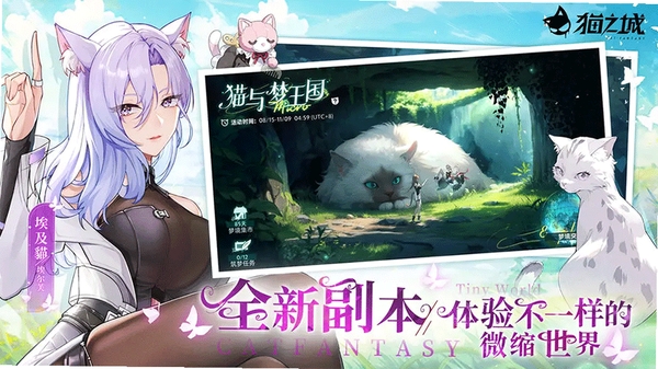 猫之城运行截图