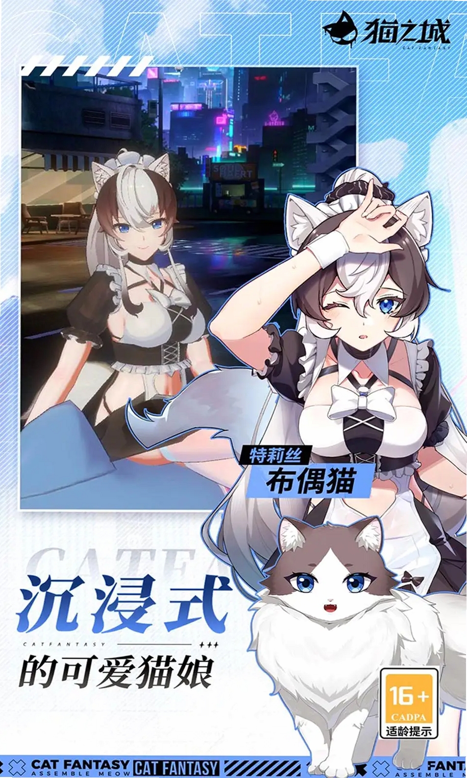 猫之城运行截图