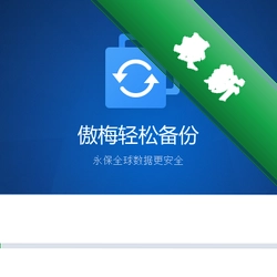 傲梅轻松备份AOMEI Backupperv6.20.0.0电脑版