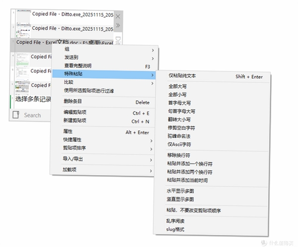 Ditto 剪贴板 设置 界面