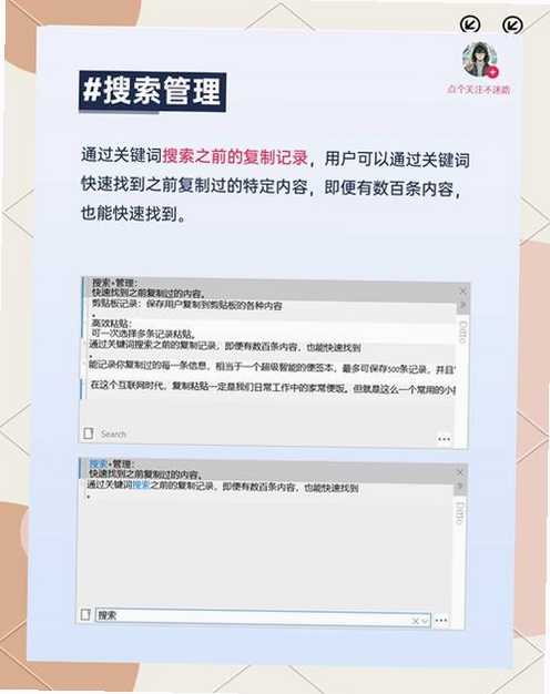 Ditto运行截图
