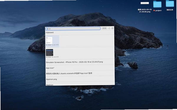 Ditto运行截图
