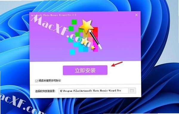 ArtensoftPhotoMosaicWizard运行截图