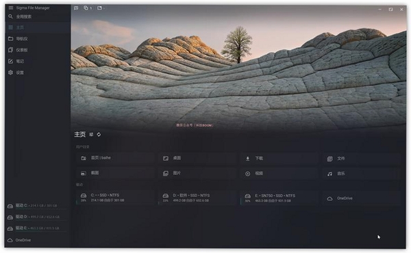 FlareGetDownloadManager运行截图