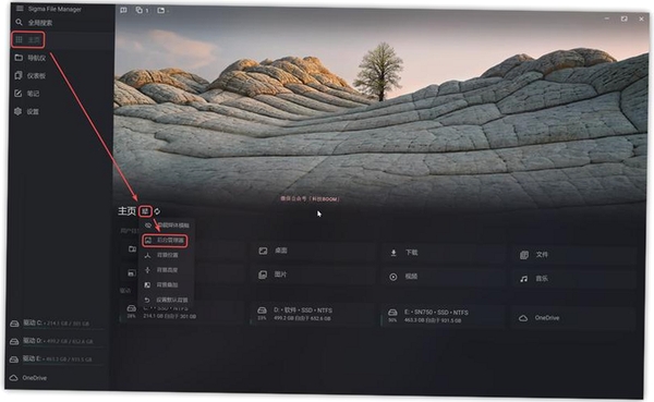 FlareGetDownloadManager运行截图