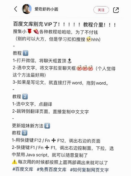 网页复制大师使用技巧