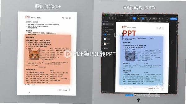 画面主体:一张对比图,左侧是原始PDF文件页面,右侧是转换后的PPTX文件编辑界面,两者视觉风格一致,重点区域用半透明色块高亮标注,展示排版还原度。背景环境:干净的渐变灰色背景。整体风格:商务科技感,对比直观,带有“PDF猫PDF转PPT”软件名称水印。