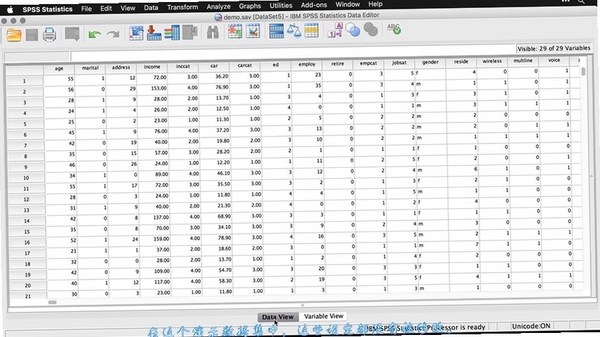 SPSSIBM SPSS Statistics运行截图