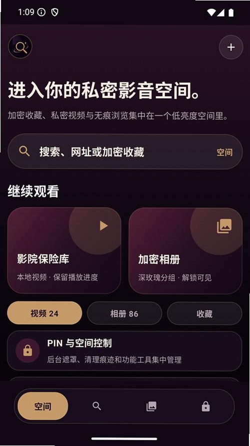 专属私密浏览器Pro运行截图