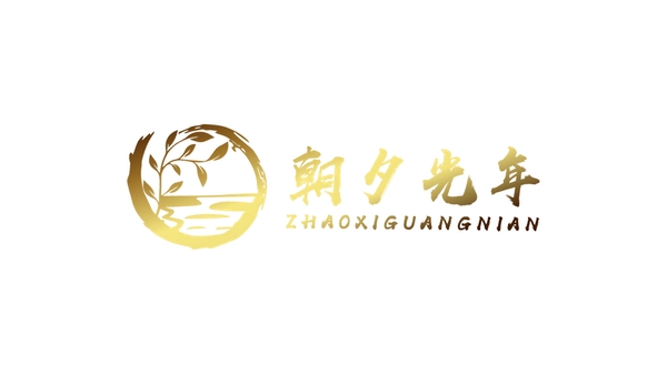 益寿光年运行截图