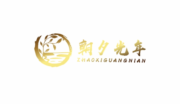益寿光年运行截图