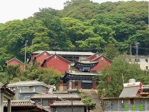 青青草运行截图