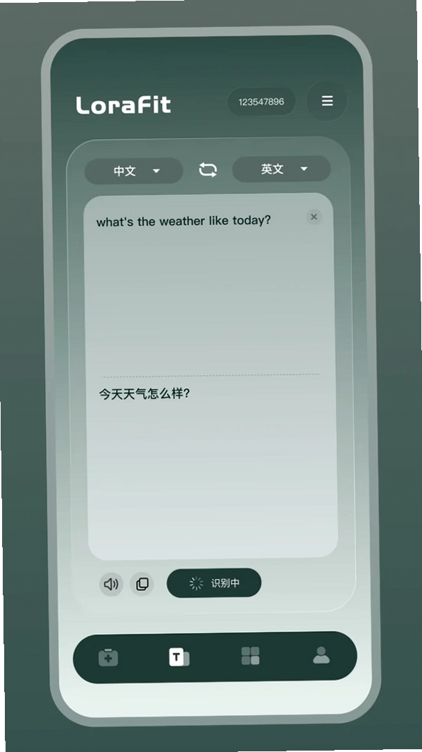 LoraFit运行截图