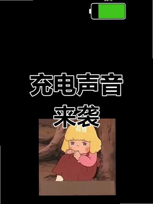 光氪充电提示音运行截图