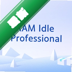 RAMIdleProfessionalv3.0.0.0电脑版