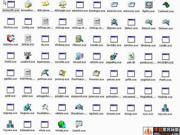 WindowsSysinternalsSuite���н�ͼ