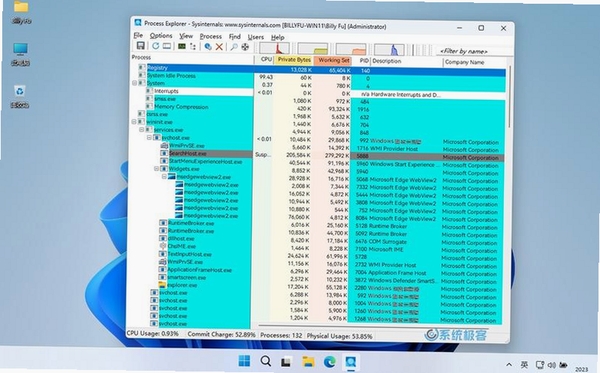 WindowsSysinternalsSuite���н�ͼ