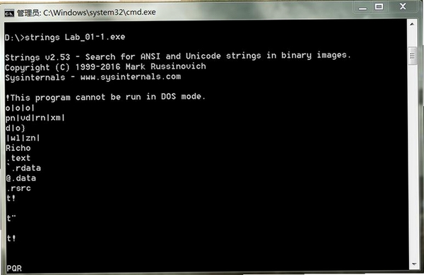 WindowsSysinternalsSuite���н�ͼ