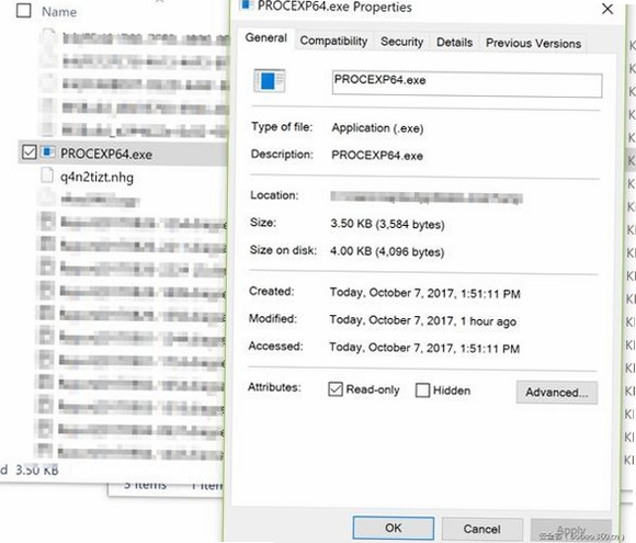 WindowsSysinternalsSuite���н�ͼ
