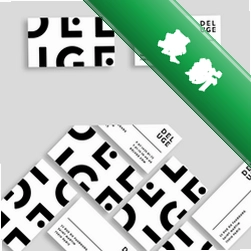 Delugev1.3.15电脑版