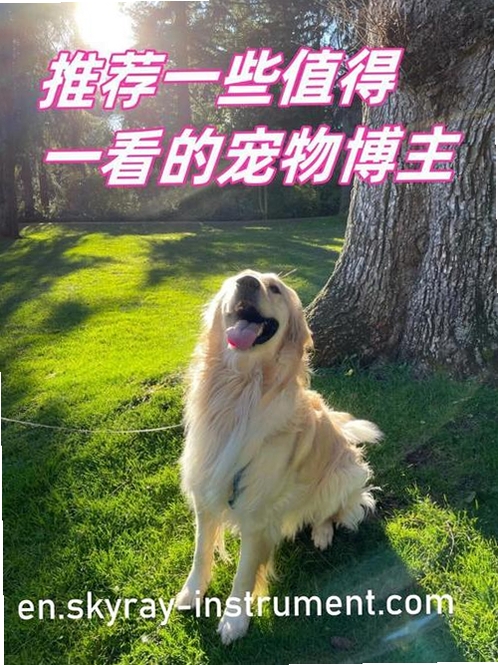 �����ۺ���Ƶվ�������н�ͼ