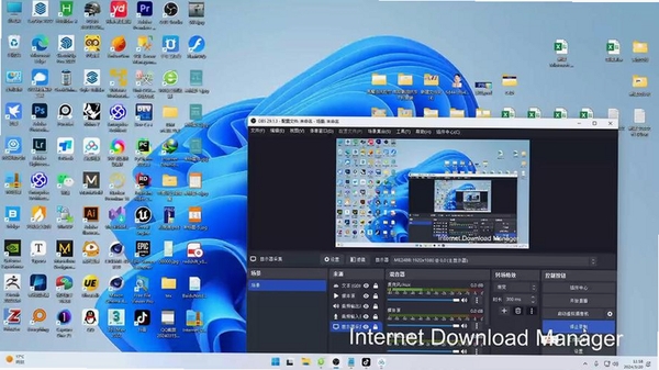 InternetDownloadManagerIDM���н�ͼ