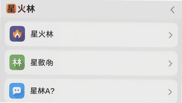 星火林APP快捷指令编辑界面截图,画面展示自定义指令列表,每个指令配有图标和名称,背景为浅灰色调,突出简洁与功能性,左上角有星火林标识
