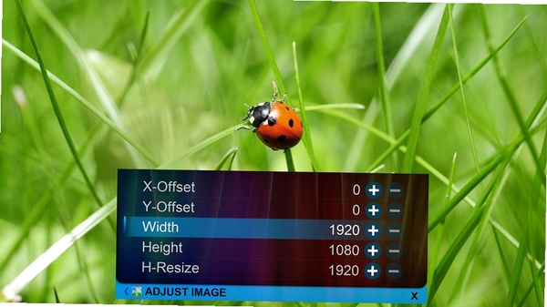 ZoomPlayerFREE���н�ͼ