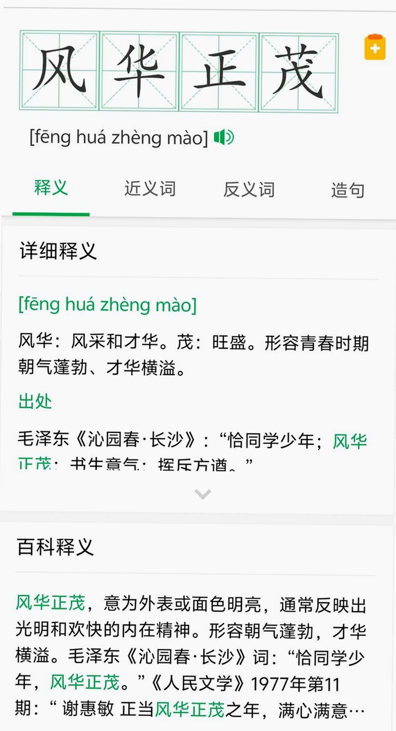 风华成语运行截图