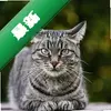 EMACS�ı��༭��ͼ��