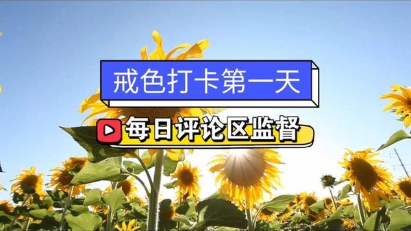 戒色日记打卡运行截图