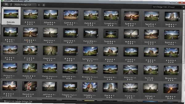 Adobe Bridge CS4 的缩略图网格视图,展示大量图片素材,每个缩略图下方显示文件名和评分星级,界面清晰有序,背景为深灰色,重点突出图片预览效果。
