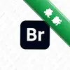 AdobeBridgeCS4ͼ��