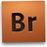 AdobeBridgeCS4运行截图