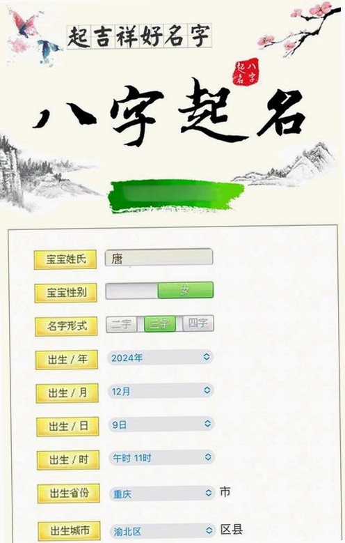 91宝宝八字取名 使用教程