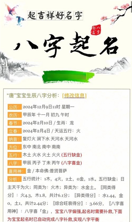 91宝宝八字取名运行截图