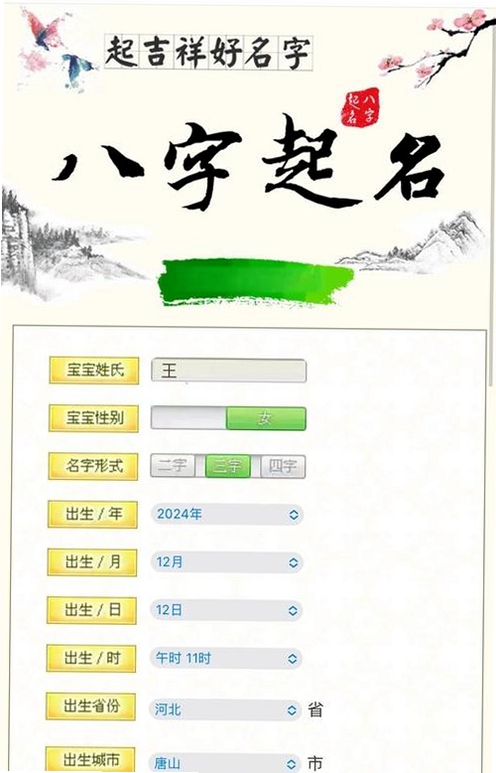 91宝宝八字取名运行截图