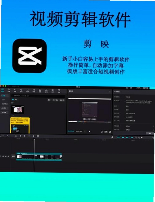 AnyPicDownloader���н�ͼ