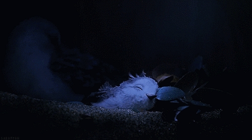 AnimateGif���н�ͼ