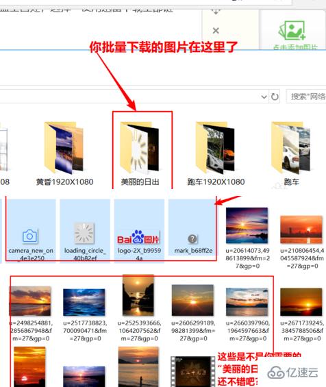 AnyPicDownloader批量下载网页图片操作界面