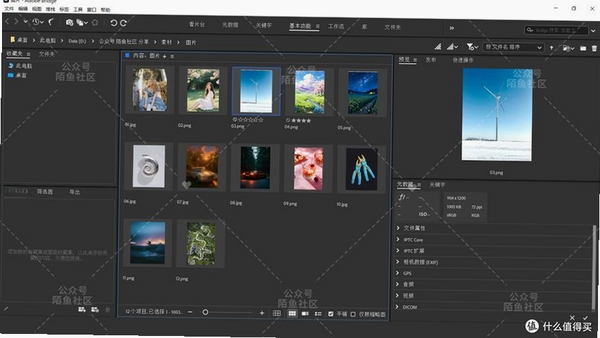 BR‘sPhotoArchiver运行截图